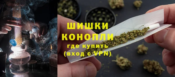 дживик Карпинск