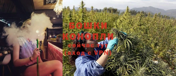 дживик Карпинск