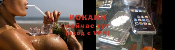 дживик Карпинск