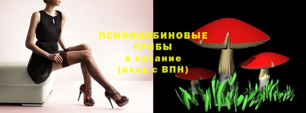 дживик Карпинск