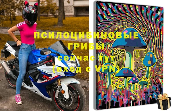 дживик Карпинск